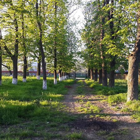Fata Verde Soldanesti Zewnętrze zdjęcie