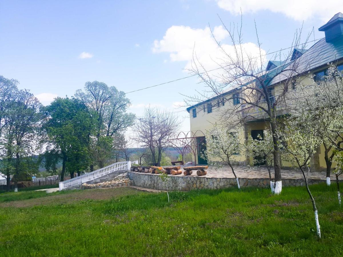 Fata Verde Soldanesti Zewnętrze zdjęcie