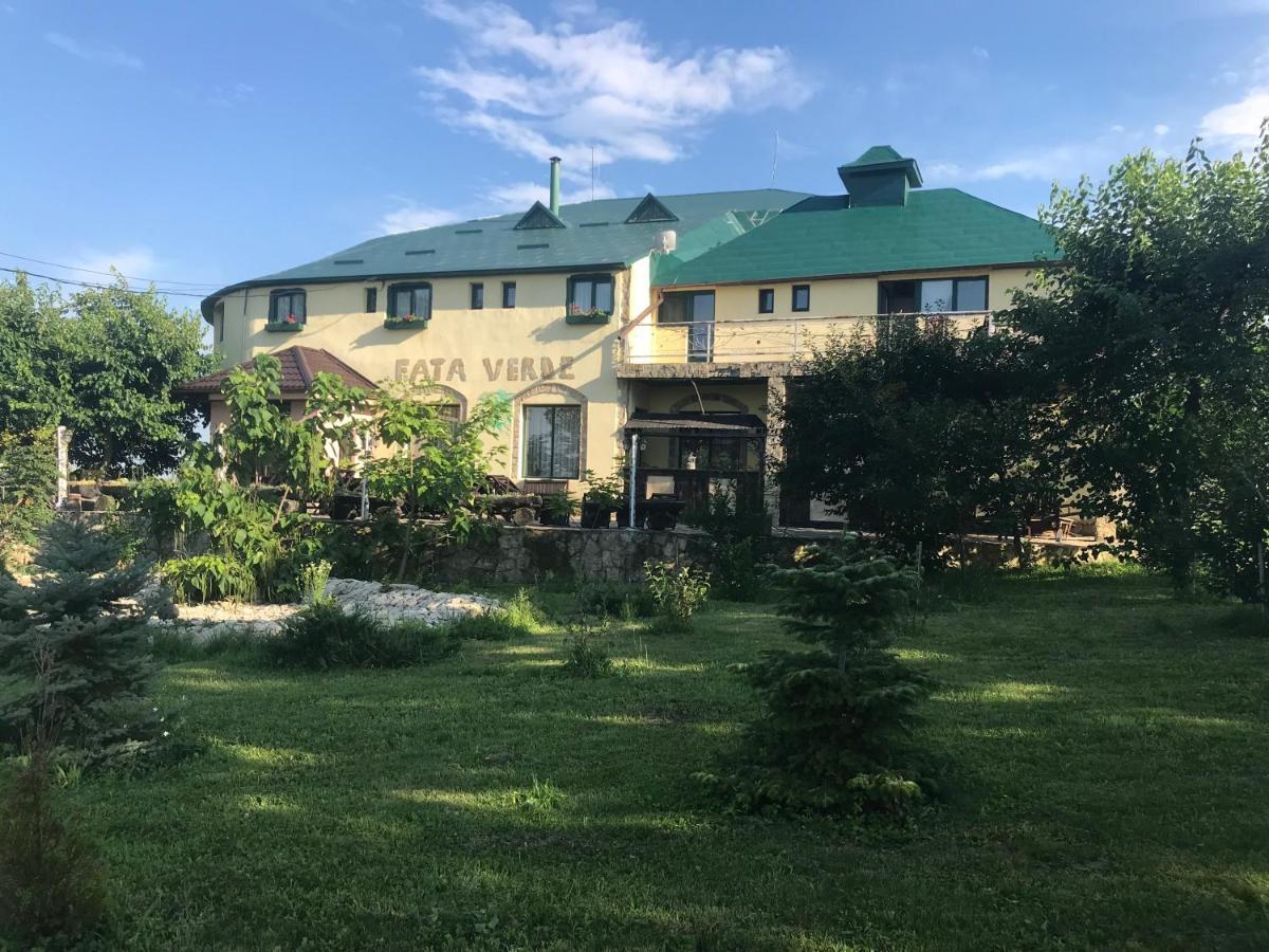 Fata Verde Soldanesti Zewnętrze zdjęcie