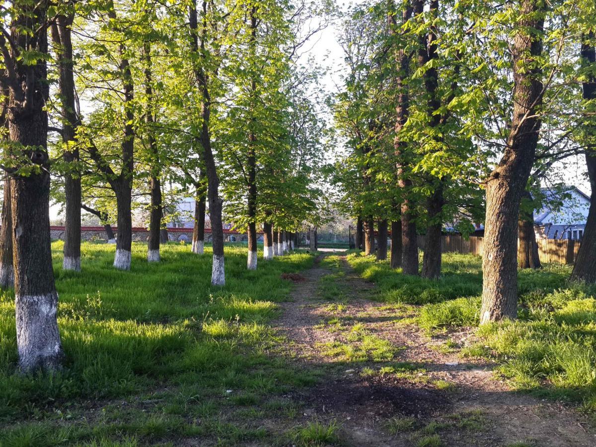 Fata Verde Soldanesti Zewnętrze zdjęcie